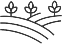 eco eco icon